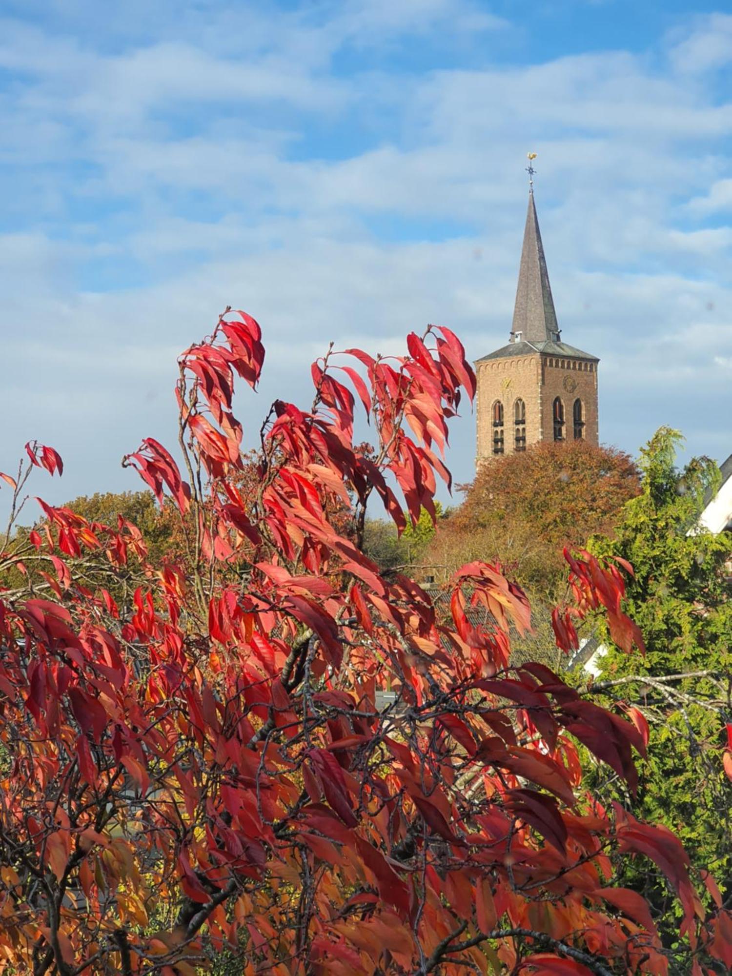 B&B Maaslandje Wijk en Aalburg Экстерьер фото